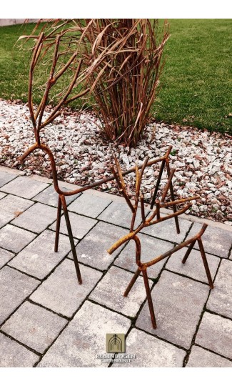 Bambi Renen - 2-pack