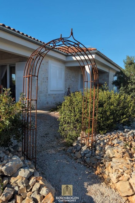 Rosenbåge Cleo
