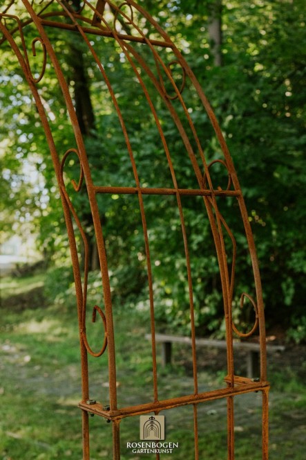 Väggrosbåge Lea Spitze