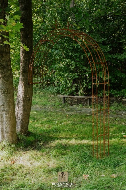 Väggrosbåge Lea Spitze