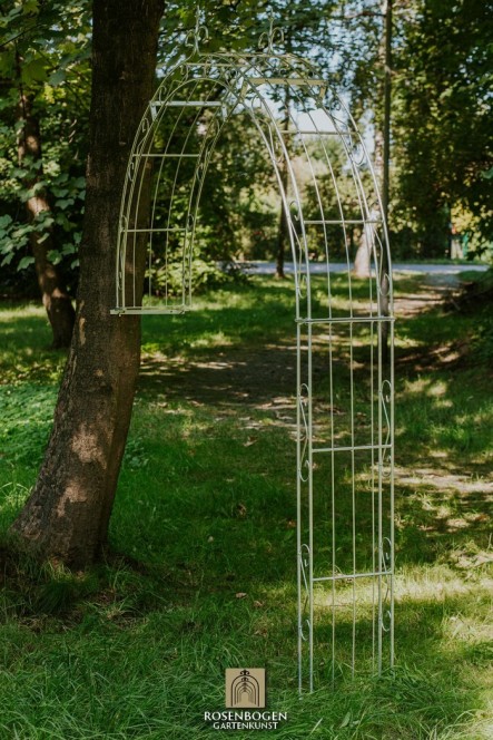 Väggrosbåge Lea Spitze