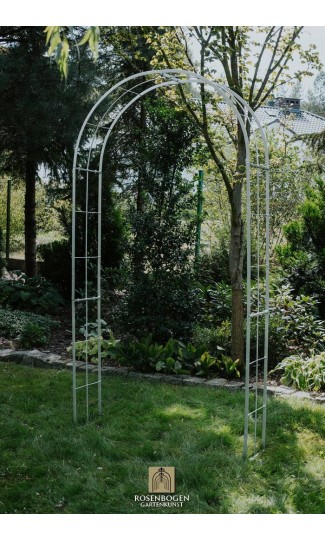 Rosenbåge CARMEN