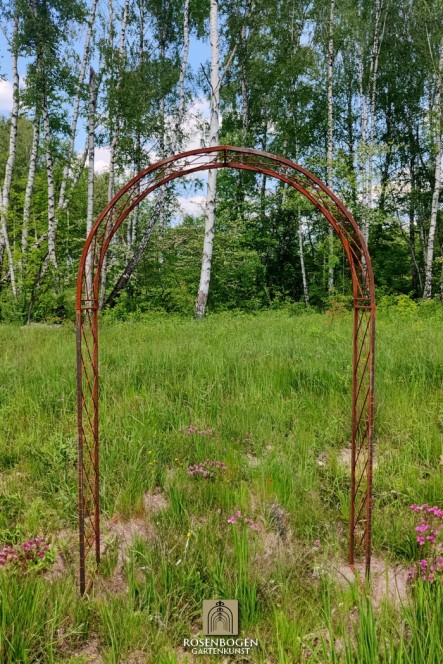 Rosenbåge LILLY