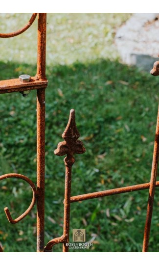 Rosenbåge ALEX mit Türen / Tor Spitze