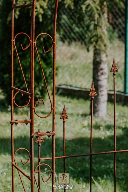 Rosenbåge ALEX mit Türen / Tor Spitze