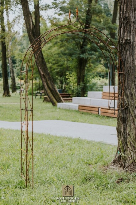 Väggrosbåge HANNAH