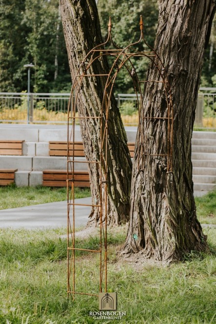 Väggrosbåge HANNAH