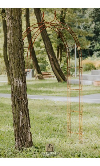 Väggrosbåge Lena Spitze