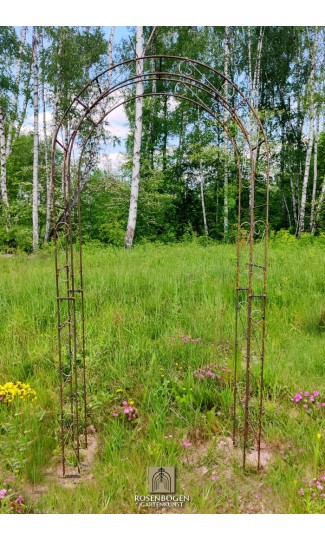 Rosenbåge ALEX Rund