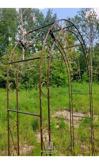 Rosenbåge ALEX Rund