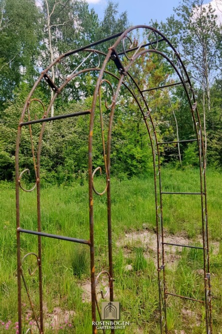 Rosenbåge ALEX Rund