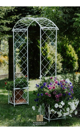 Rosenbåge PREMIUM SABINE