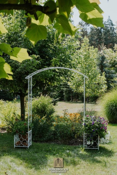 Rosenbåge PREMIUM SABINE