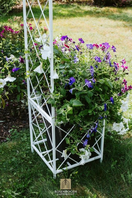 Rosenbåge PREMIUM SABINE