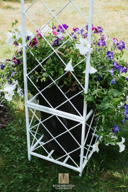 Rosenbåge PREMIUM SABINE