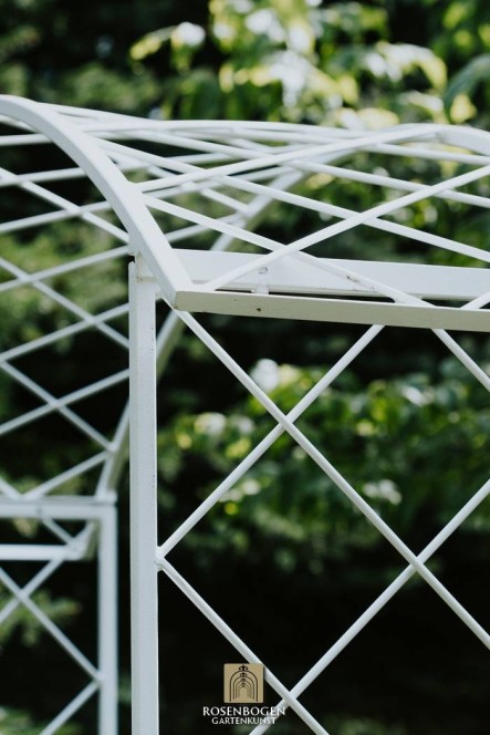 Rosenbåge PREMIUM SABINE