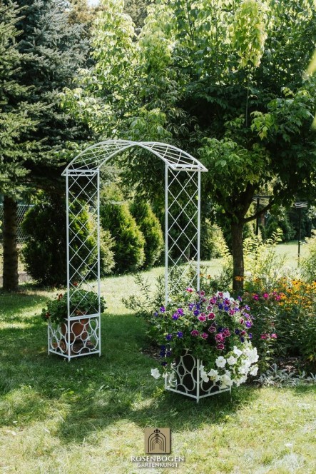 Rosenbåge PREMIUM SABINE