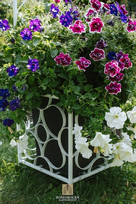 Rosenbåge PREMIUM SABINE