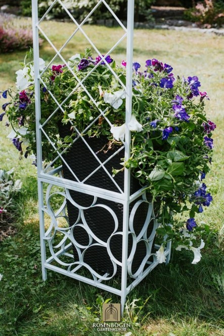 Rosenbåge PREMIUM SABINE