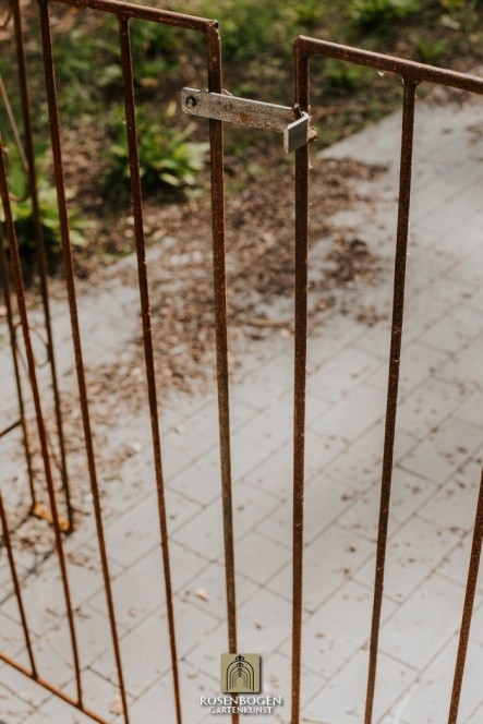 Rosenbåge ALEX med Dörrar / Platt grind