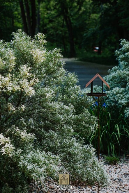 Trädgårdsdekoration VOG